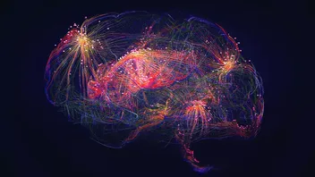 Issues for Boards: Managing AI risk in 2025 - updated guidance