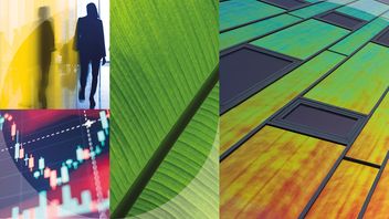 ESG Disputes Bulletin – February 2025