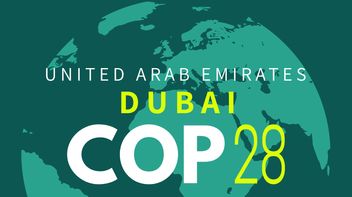 COP28: first results