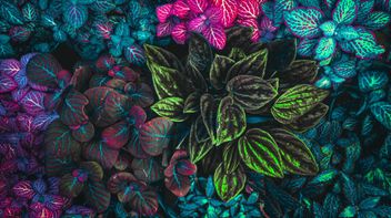 UK CMA's Sustainability Consultation