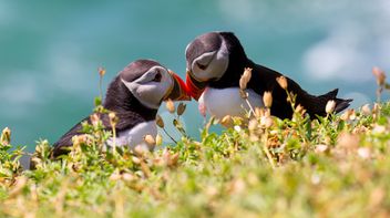 EU Green Bond Regulation: ESMA consults on rules for External Reviewers of European Green Bonds