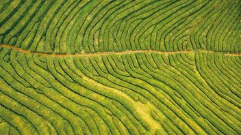 ICMA publishes paper on role of commercial paper in the sustainable finance market 