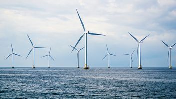 The Ostend Declaration from a Dutch perspective