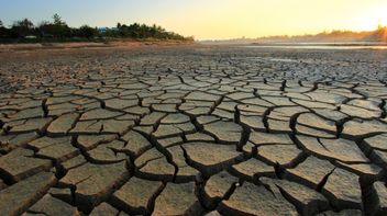 International Court of Justice Advisory Opinion finds States have binding legal obligations to address climate change