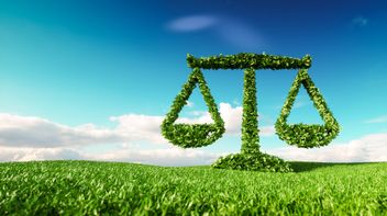 Navigating the risks of greenwashing in the voluntary carbon market