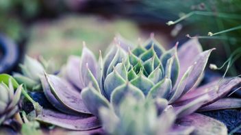 Meet our ESG team: Kim Rybarczyk