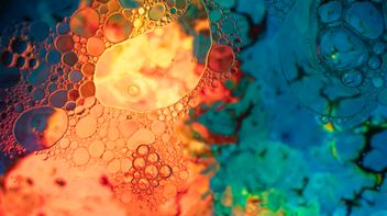 EU: Commission publishes Chemicals Industry Action Plan and Chemicals Simplification Omnibus