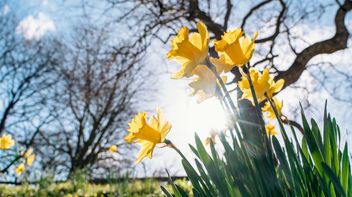 Spring is coming – what can businesses in the UK expect from the CMA on greenwashing amidst new consumer protection provisions coming into effect