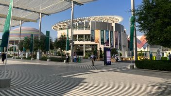 COP28 reflections: a closer look at the Gulf region