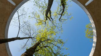 EU: ESMA’s Statement on expected sustainability disclosures in prospectuses