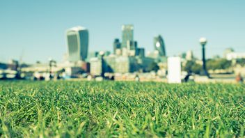 UK: FCA SDR investment labels and anti-greenwashing policy – what it means for insurance and pension providers