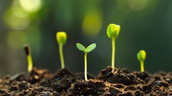 Look out!  FCA Enforcement "green shoots" incoming