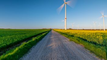 Webinar recording: US Election Outcome and the Impact on the Global Energy Transition