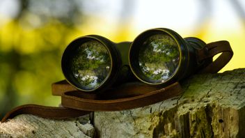 FCA enforcement? All eyes on supervision
