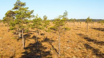 EU: political agreement reached on Nature Restoration Law