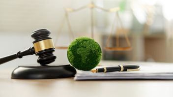 Insights from the "Global Trends in Climate Change Litigation: 2025 Snapshot" Report