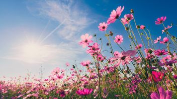 Linklaters Insights Programme for Spring/Summer 2026