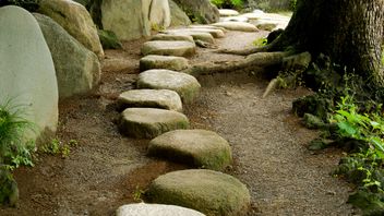 UK government sets out next steps on SDR implementation