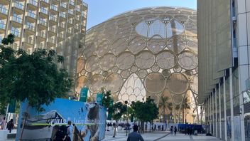 COP28 reflections - Thursday 7 December 2023 - Blue zone rest day