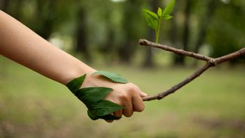 Green Deals: Can EU Merger Control support the bloc’s wider policy objectives?