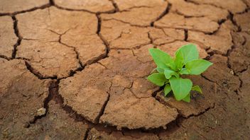 European Commission presents EU Climate Resilience Framework