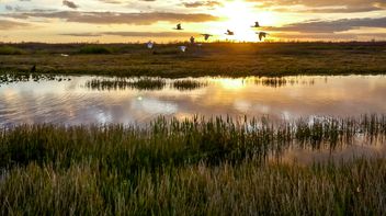 TNFD publishes final recommendations for nature-related risk management and disclosure