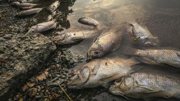 Environmental Crime Directive: EU introduces new offences and penalties