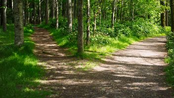 UK: High Court rules approval of government’s Carbon Budget Delivery Plan was unlawful, in sequel to 2022 decision