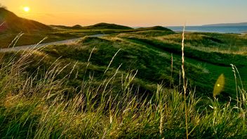 ESMA consults on remaining RTS for external reviewers of European Green Bonds