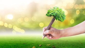 UK consults on draft UK SRS: implementation of ISSB sustainability disclosure standards