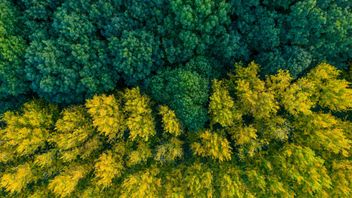 EU: ESA’s recommendations on SFDR – calling for greater coherence in the framework, catering for green transition and enhanced consumer protection