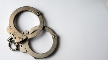 German Government plans to tighten environmental criminal law