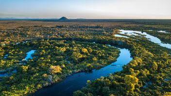 Biodiversity loss: Regulatory trends in the UK and EU