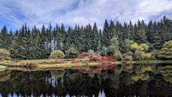 EU: Nature Restoration Law published in the Official Journal of the EU