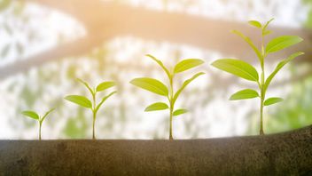 EU Commission publishes sustainable finance package including Taxonomy Delegated Acts and FAQ