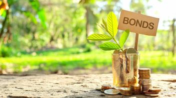 ICMA releases new resources on Green, Social, Sustainability and Sustainability-Linked Bond Principles