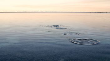 ESG horizon scanning: what in-house lawyers need to know for 2024