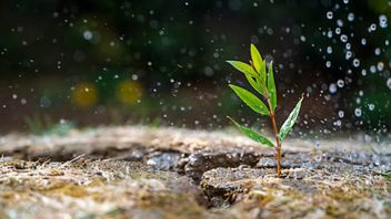 ISSB publishes final versions of first two global sustainability disclosure standards