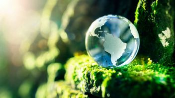 The Netherlands: A Dutch initiative for a value chain due diligence