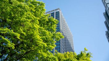 Financing Sustainable Change: What Does Good Governance Look Like?