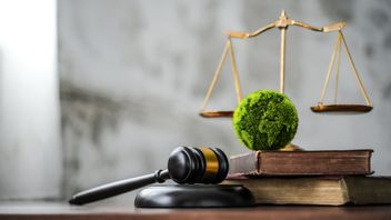 Unlocking New Legal Avenues: Dutch Court paves the way for preliminary relief in climate enforcement litigation