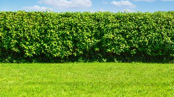 FMSB opens debate on pre-hedging