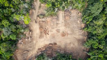 EU: Commission publishes proposal with targeted changes to Deforestation Regulation
