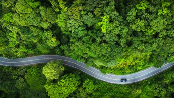 ICMA publishes new materials at Annual General Meeting of Green, Social, Sustainability and Sustainability-Linked Bond Principles