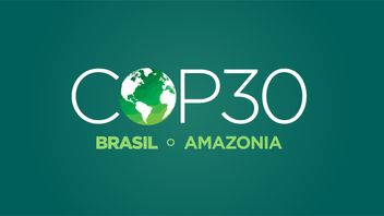 COP30: first results after week 1