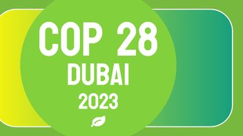 COP28: What to expect