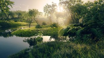 Linklaters advises World Bank on first-of-its-kind carbon removal bond to fund Amazon reforestation