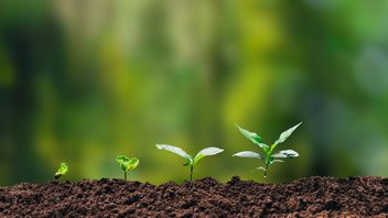 Financial services firms and a new Labour government: the regulatory implications