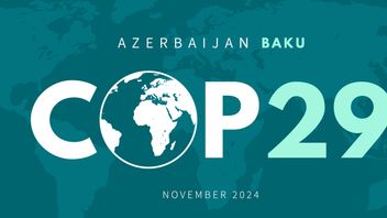COP29: first results