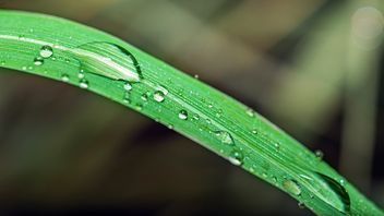 New York City Climate Week 2026: Key U.S. Climate and Sustainability Resources